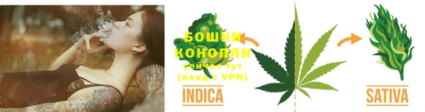 ALPHA PVP Беслан