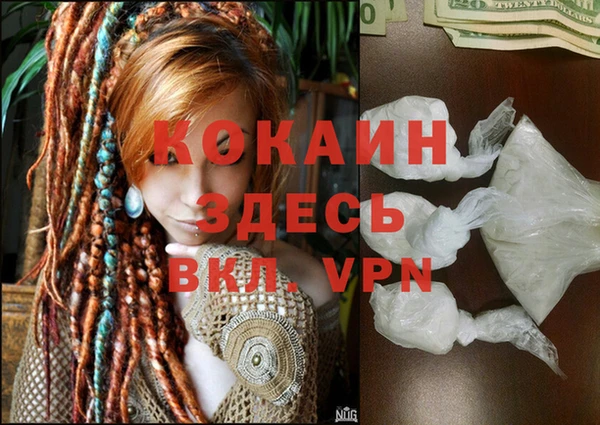 шишки Нея